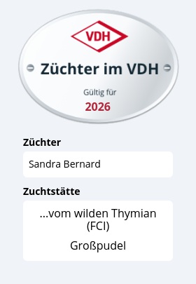 Züchter im VDH – gültig für 2026